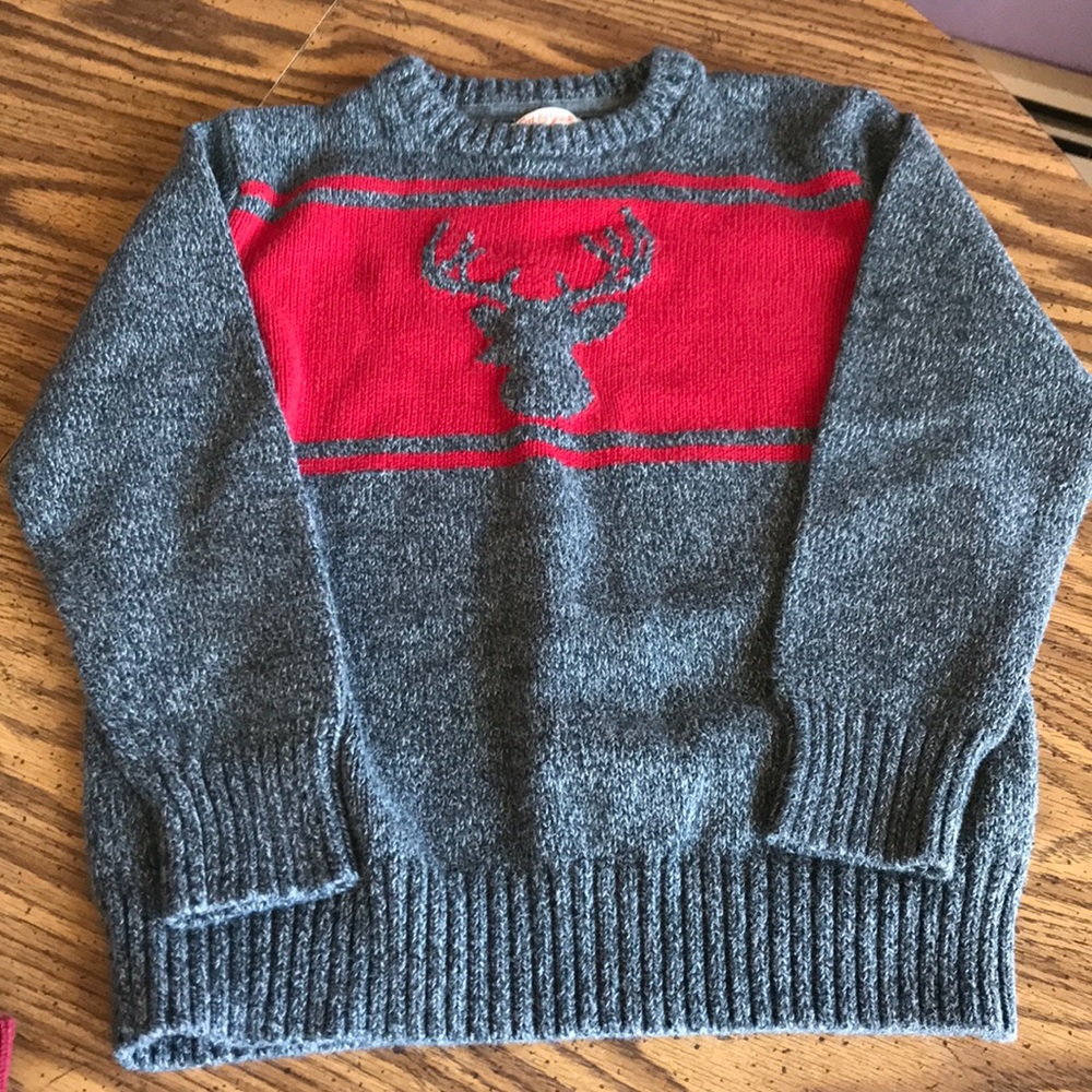 Cat & Jack Buck Sweater